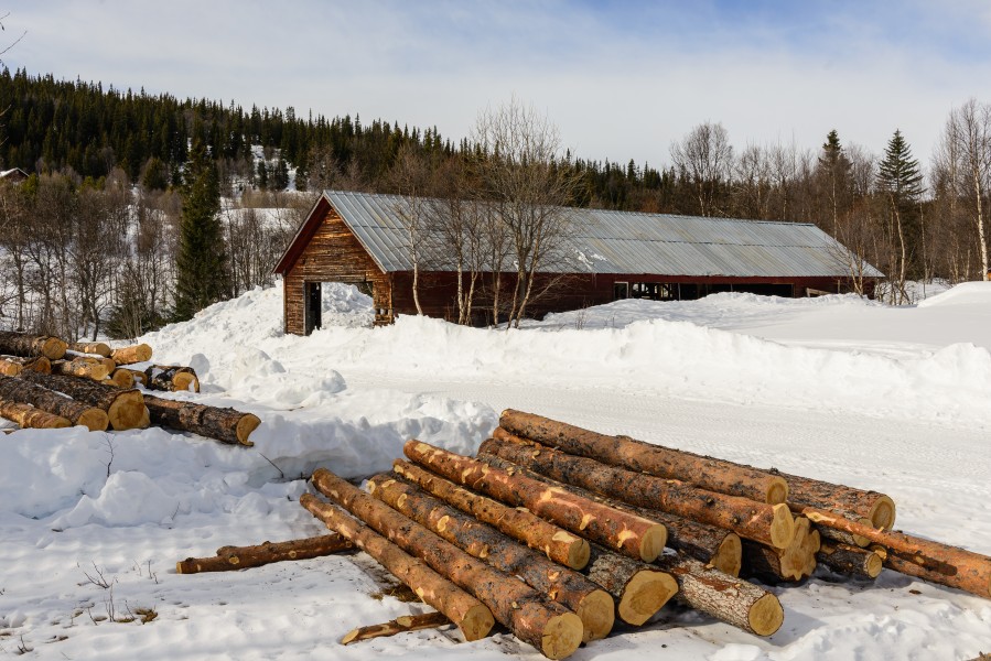 Ljungdalen Mars 2013 06