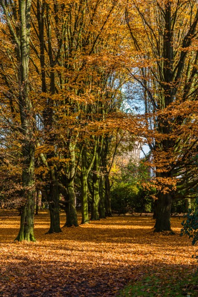 Münster, Park Sentmaring -- 2015 -- 9925