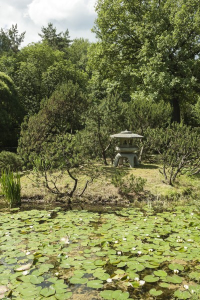Main Botanical Garden of the Academy of Sciences of Russia (Exhibition 