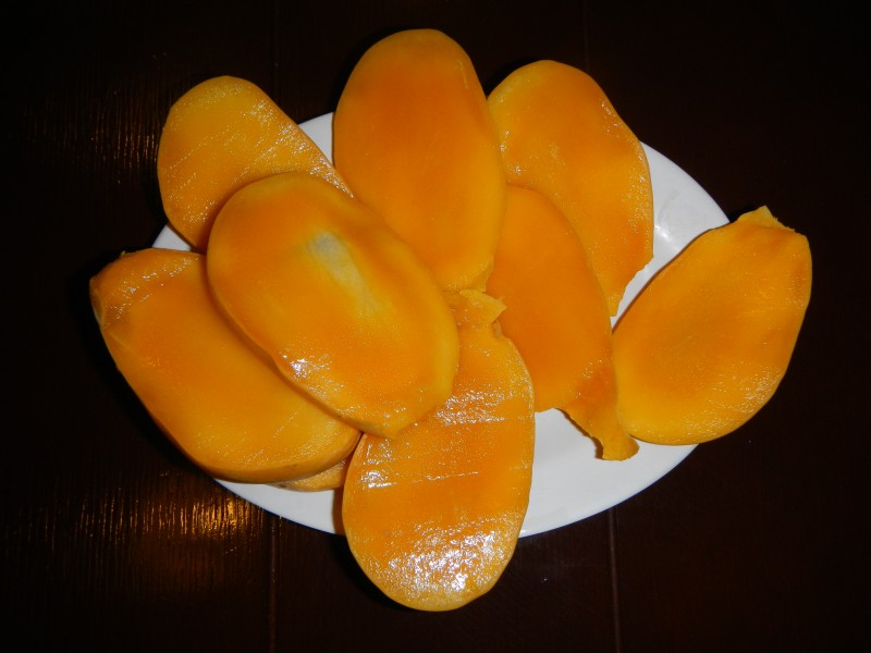 Mango4501