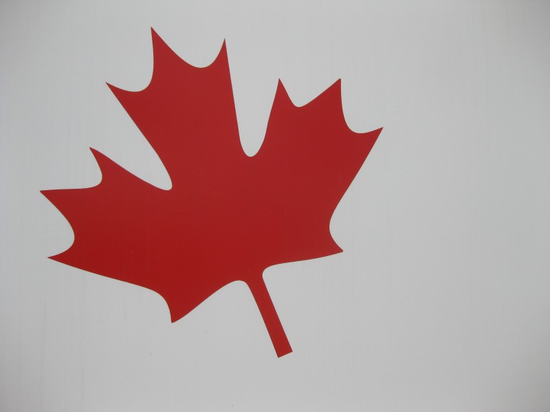 Maple (3813830874)