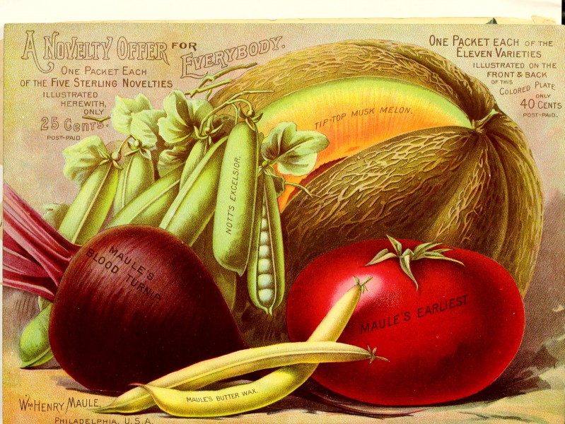 Maule's seed catalogue - 1895 (1895) (14777464281)