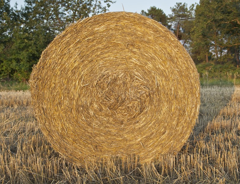 Meule paille champ Dordogne
