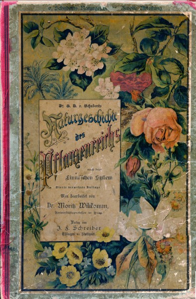 Naturgeschichte-des-Pflanzenreichs