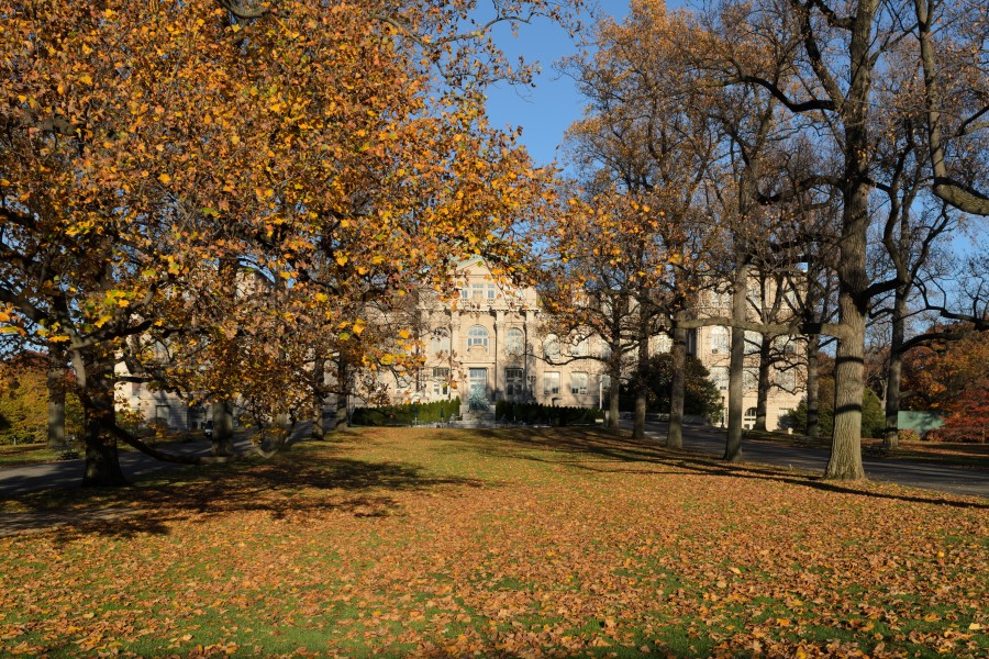 New York Botanical Garden November 2015 001