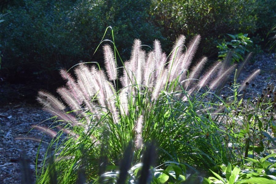 Nice Lighting (15430522226)