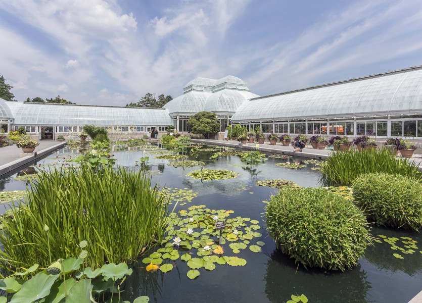 NYBG Conservatory NY1