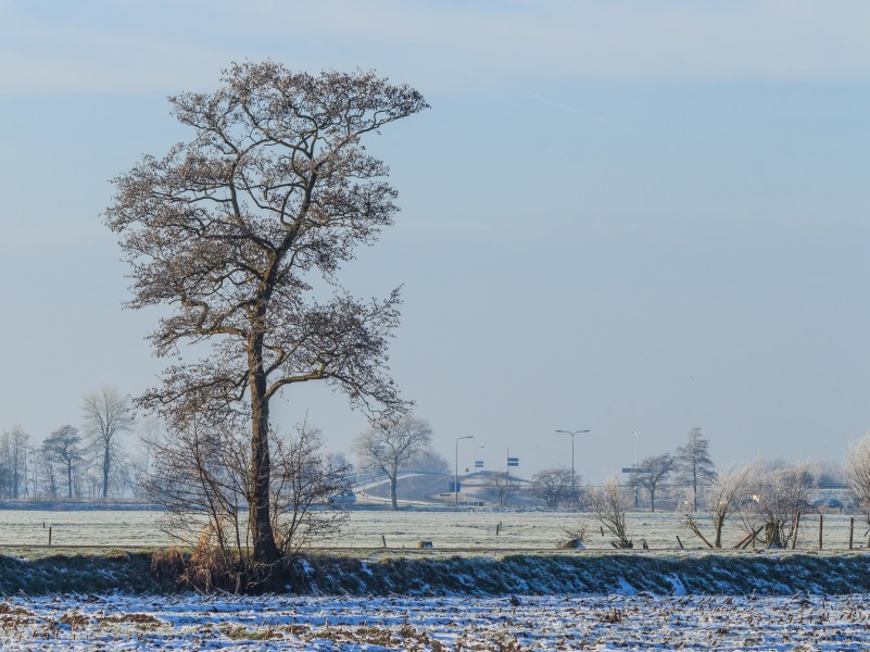 Omkromte Broek, gemeente De Fryske Marren 06