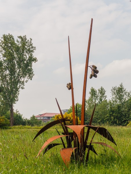 Organic Steel. Kunstwerk van Henk Slomp. Locatie Hortus Haren 02