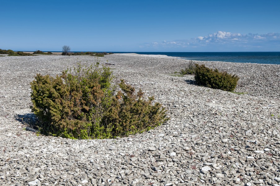 Osmussaar. 3.