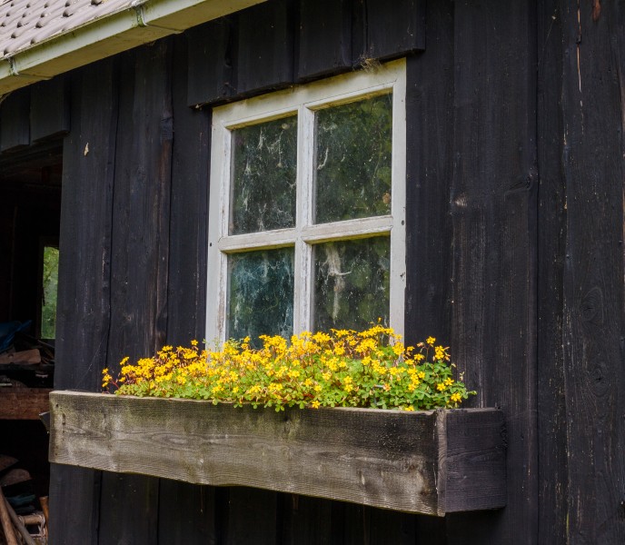Oud scheefgezakt houten tuinschuurtje. Locatie, Tuinreservaat Jonkervallei 03
