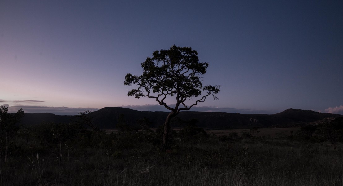 Paisagem noturna parque sempre vivas