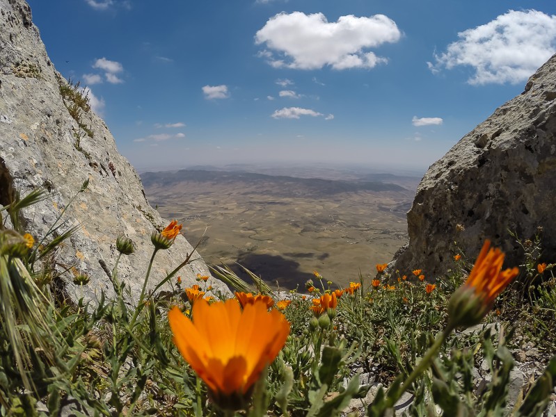 Parc national de Jebel Zaghouan 30