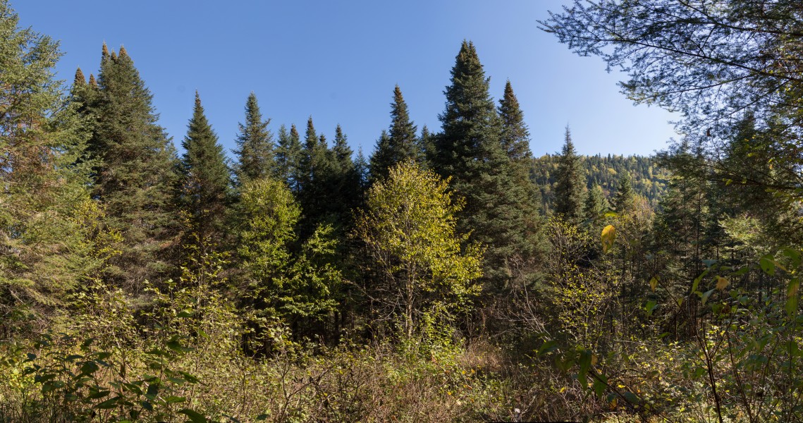 Parc national de la Jacques-Cartier 01