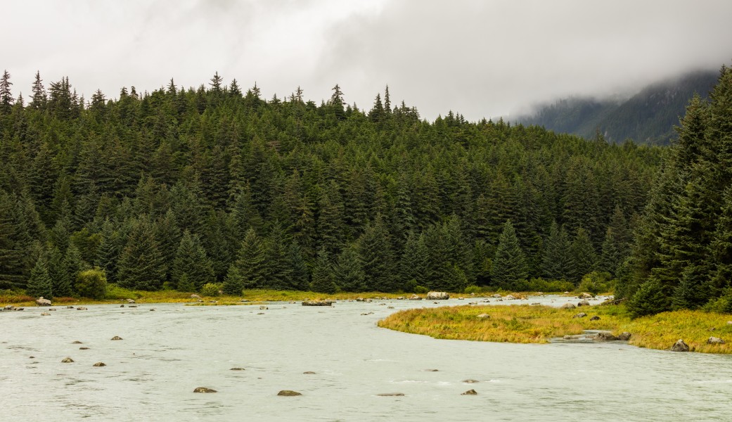 Parque Estatal de Recreo del Lago Chilkoot, Haines, Alaska, Estados Unidos, 2017-08-26, DD 01