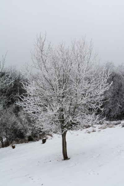 Pernegg Winterlandschaft 20170128 04