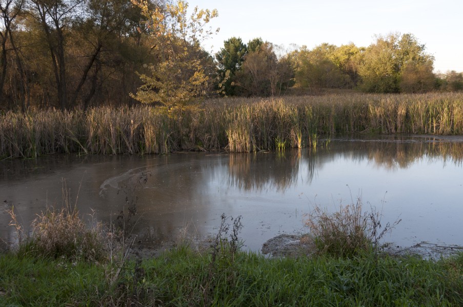 Pickerington Ponds-Ellis Pond in Fall 1