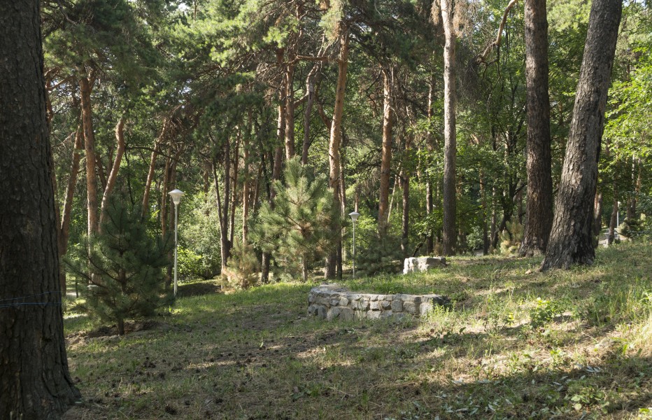Pine Hill Park