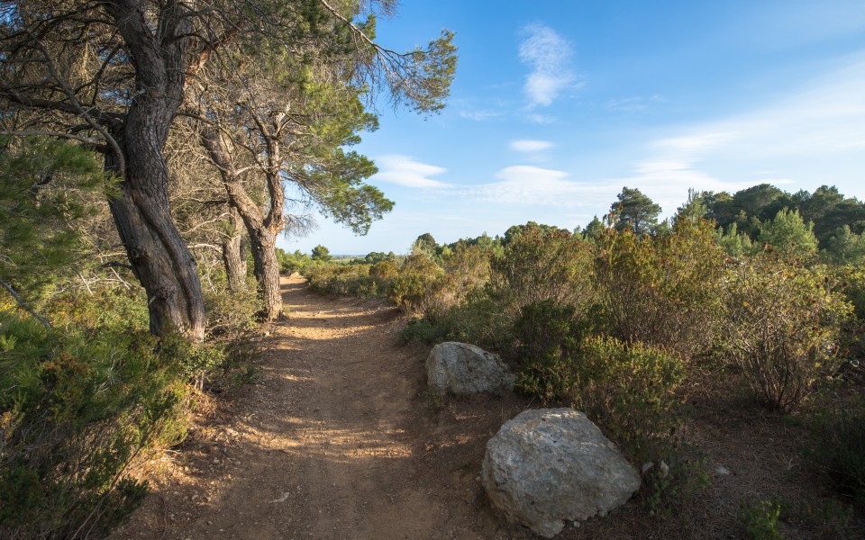 Pinet, Hérault 03
