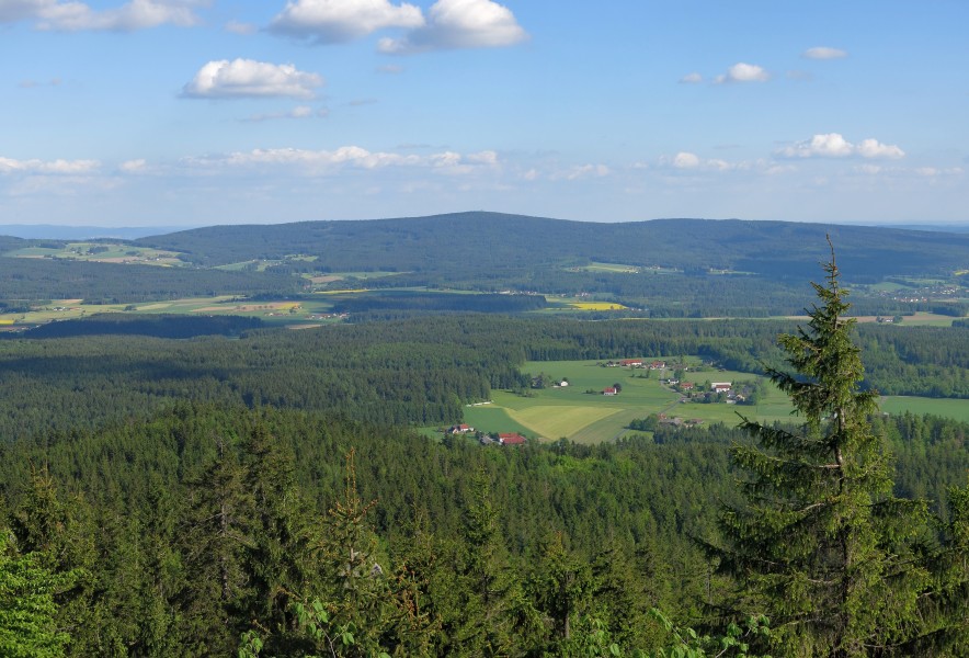 Platte-Steinwald