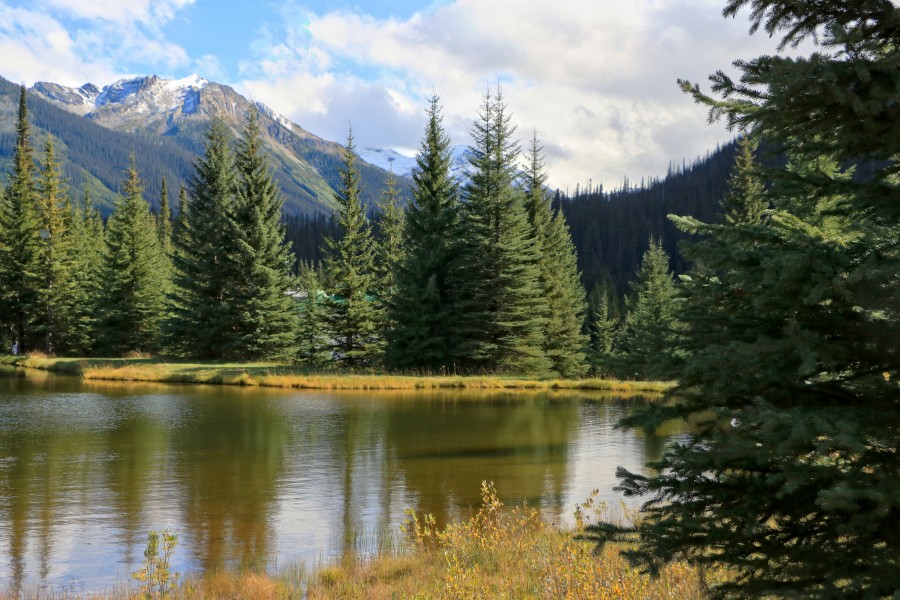 Pond in Bugaboo Mountains, British Columbia