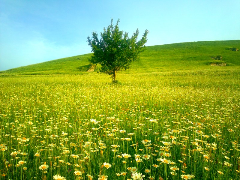 Qusar landscape