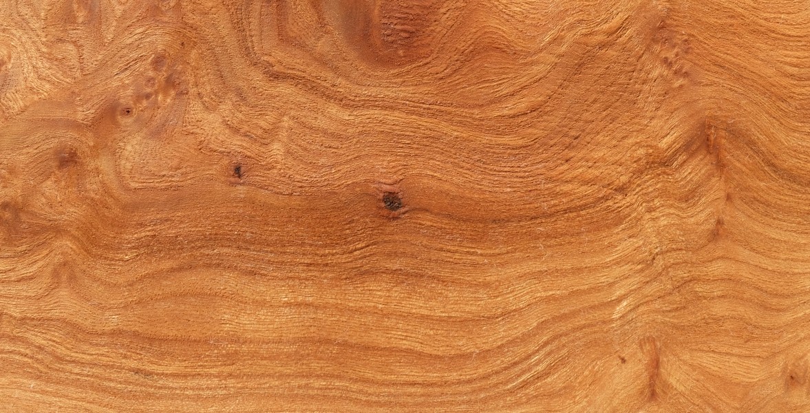 Rüster-Maser Holz