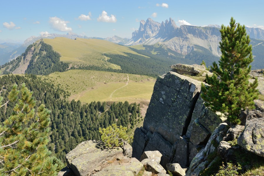 Resciesa Mont Dedite y Danter la Montes Urtijei