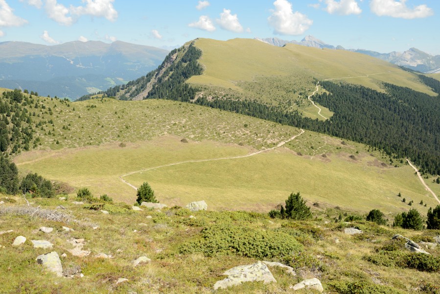 Resciesa Mont Dedite y Danter la Montes Urtijei cun jnevri