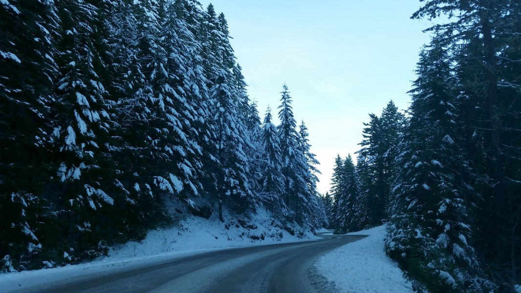 Road to Hurricane Ridge