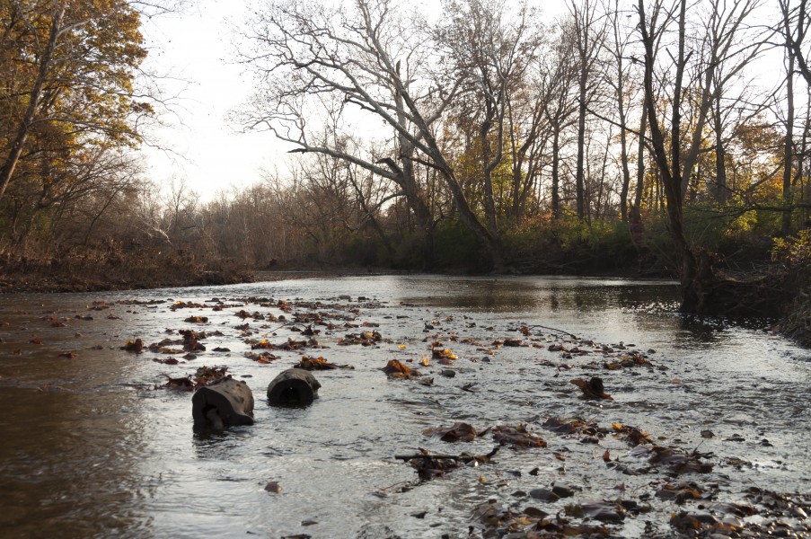 Rocky Fork Creek at the confluence with Big Walnut Creek 1