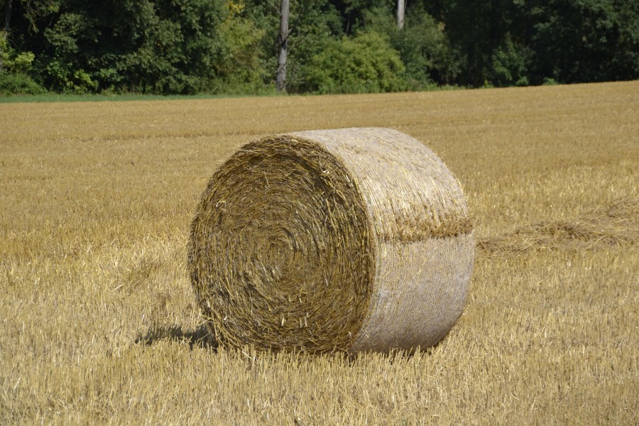 Round hay bales in Bavaria -01