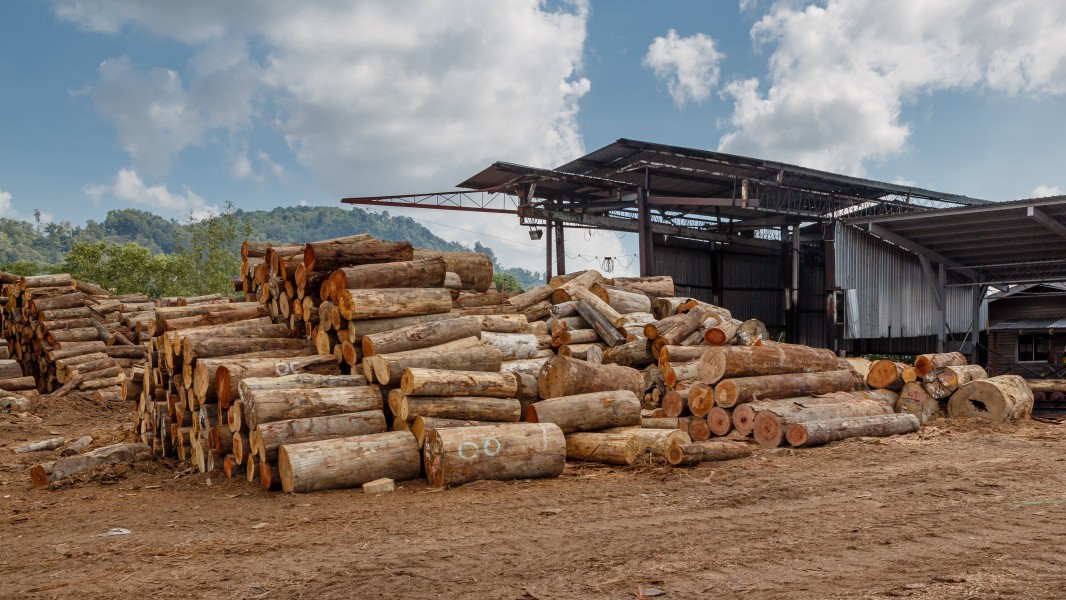 Sandakan Sabah Plywood-Factory-08