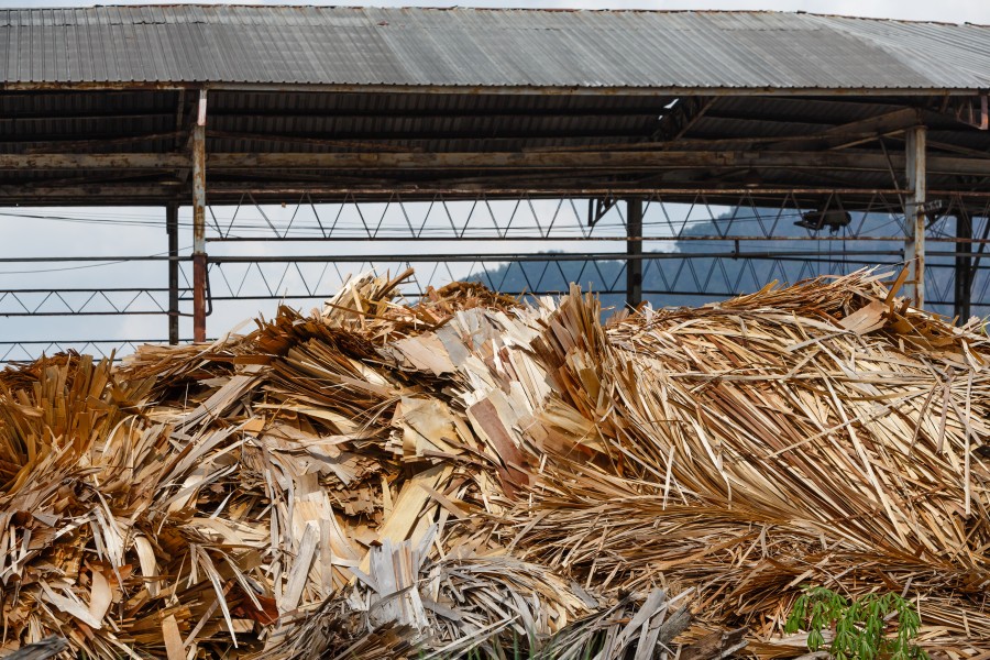 Sandakan Sabah Plywood-Factory-13