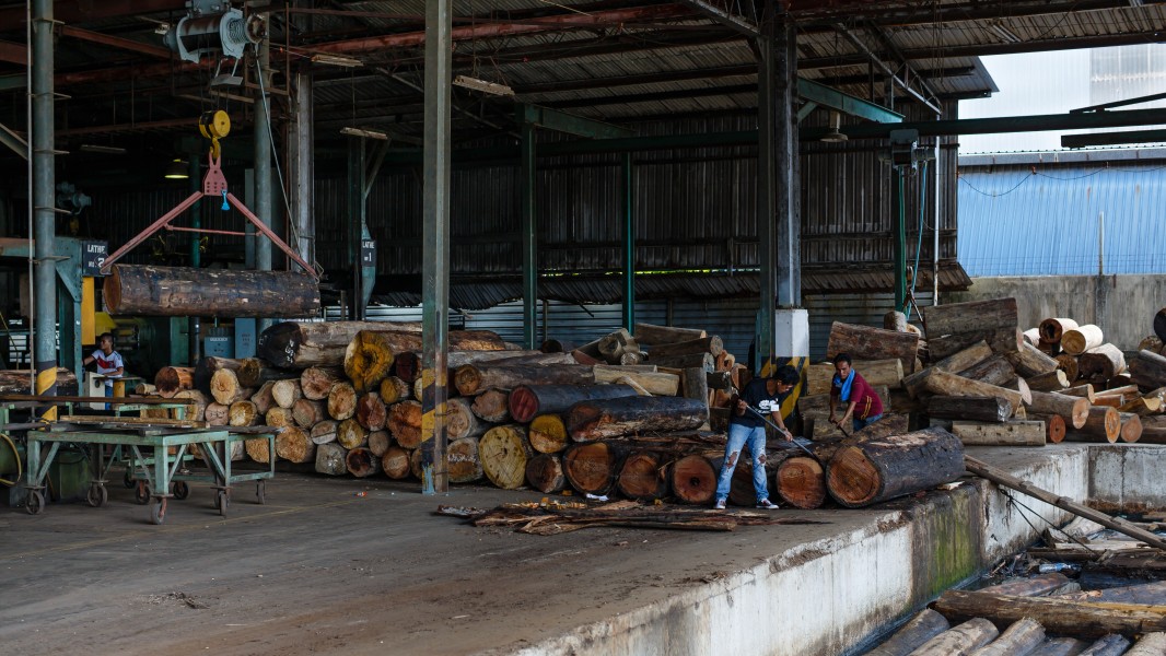 Sandakan Sabah Plywood-Factory-20