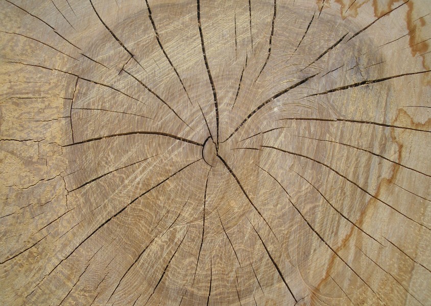 Saw cut texture2