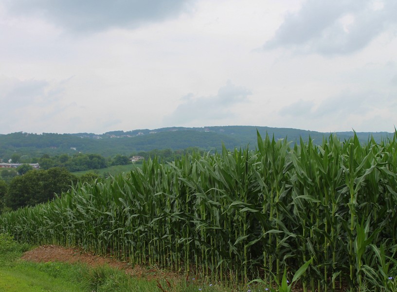 Scenery of Mahoning Township, Montour County, Pennsylvania