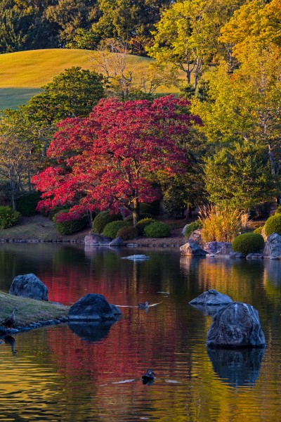 Scenery of Shinji pond at Expo’70 Commemorative Park in Osaka