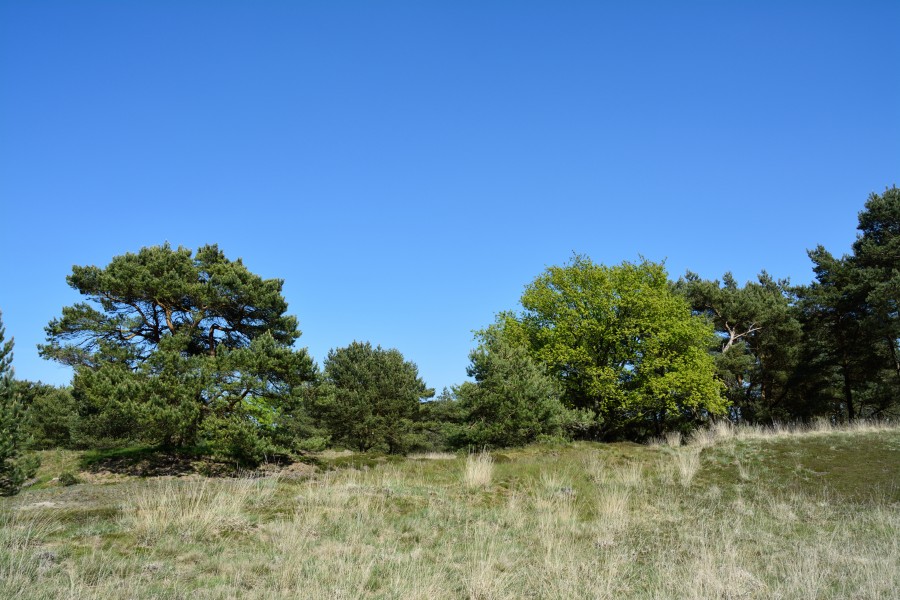 Schleswig-Holstein, Bark, Naturschutzgebiet 30 NIK 4211