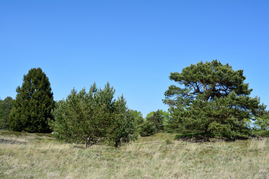 Schleswig-Holstein, Bark, Naturschutzgebiet 30 NIK 4212