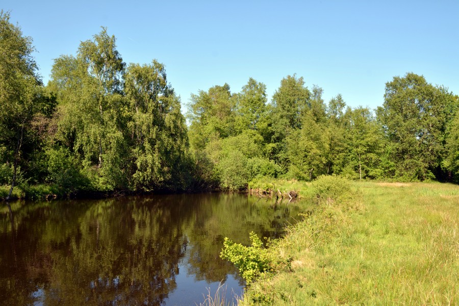 Schleswig-Holstein, Tellingstedt, Landschaftsschutzgebiet Großes Moor Kätner Moor NIK 7108