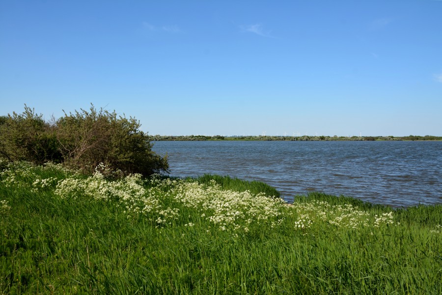 Schleswig-Holstein, Dithmarschen, Naturschutzgebiet Kronenloch Speicherkoog Dithmarschen NIK 3035