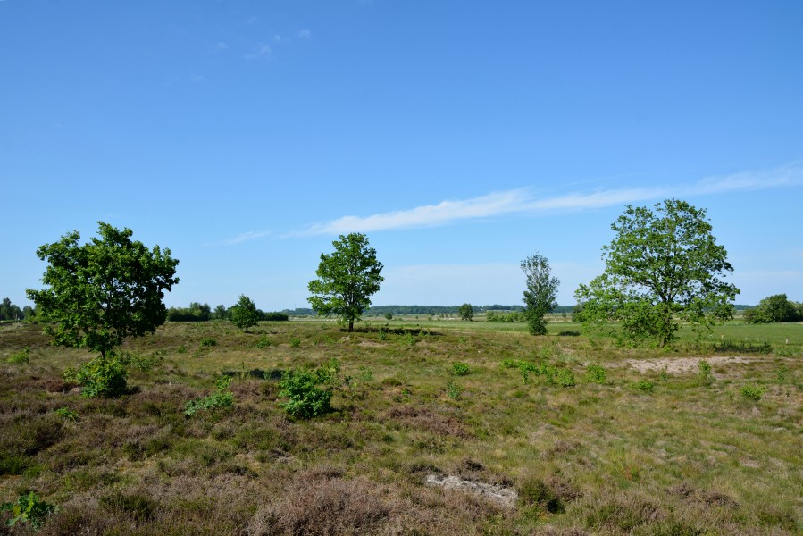 Schleswig-Holstein, Elpersbüttel, Landschaftsschutzgebiet Jägersburger Heide NIK 3316