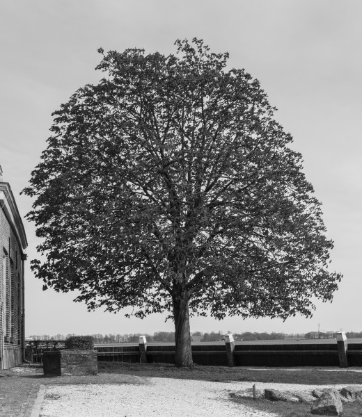 Schokland. UNESCO-Werelderfgoed actm 73