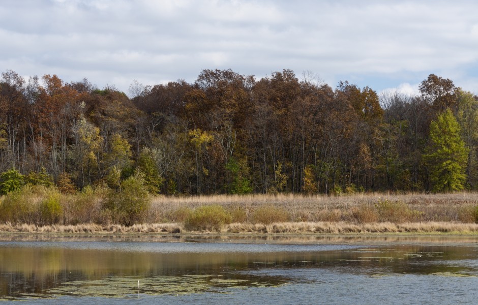 Slate Run-Wetlands in Fall 2