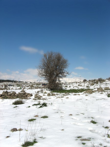 Snow in mount hermon, israel