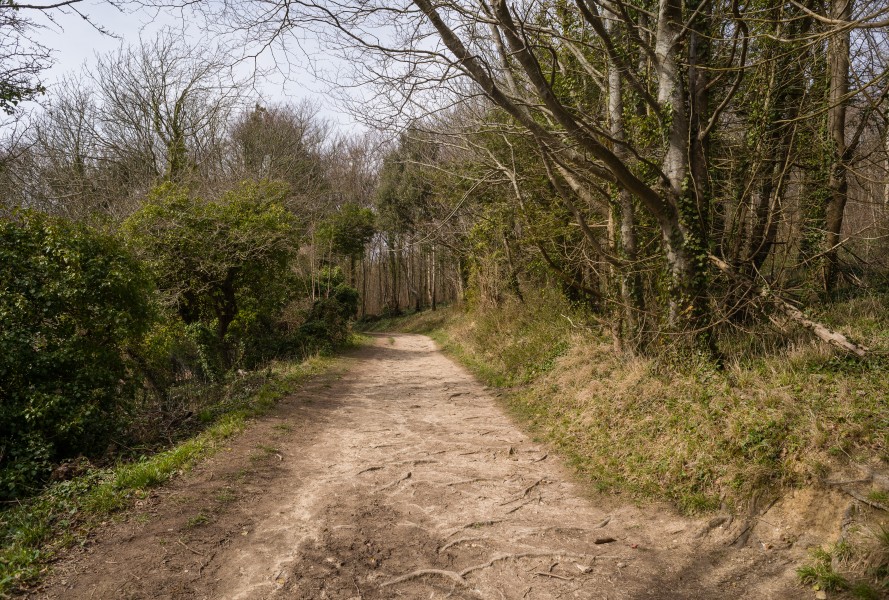 South Downs Way April 2018 01
