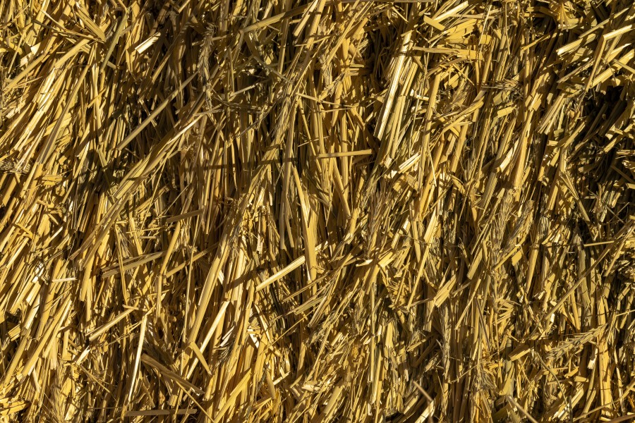 Straw texture