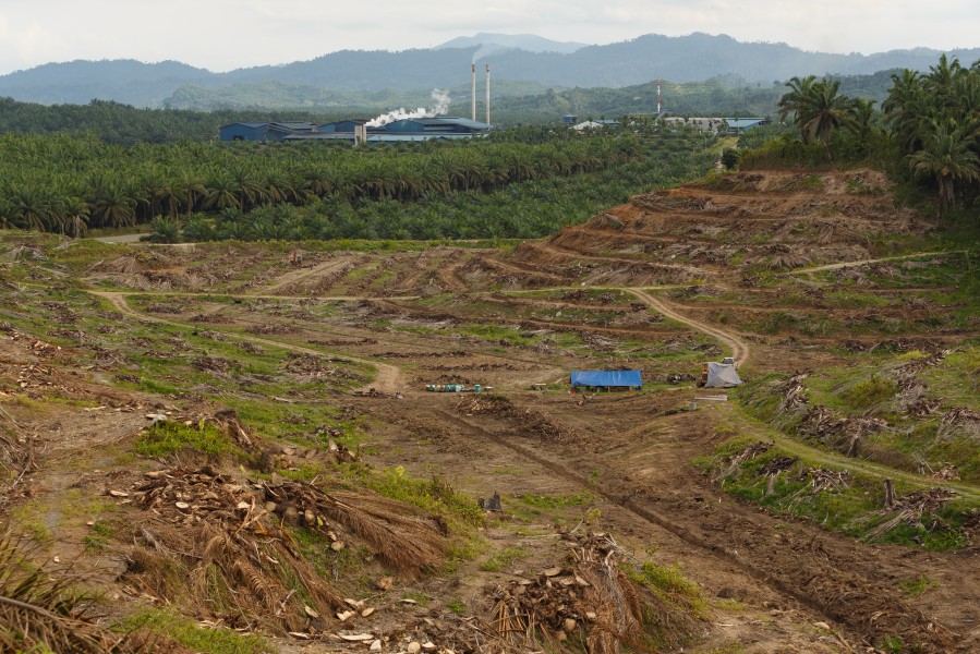 Sungai-Mangis Sabah Tamaco-Oil-Mill-2-01a