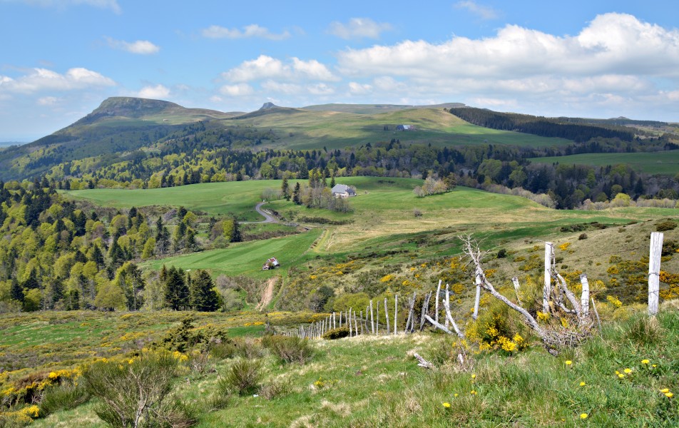 Sur le versant sud de la route menant au-col-de-la-Croix-Morand-dpt-Puy-de-Dome-DSC 1820